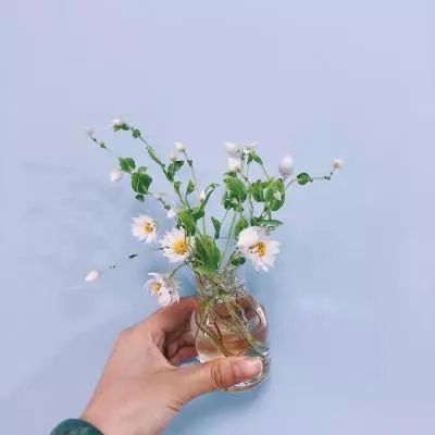 少年袁承志游戏